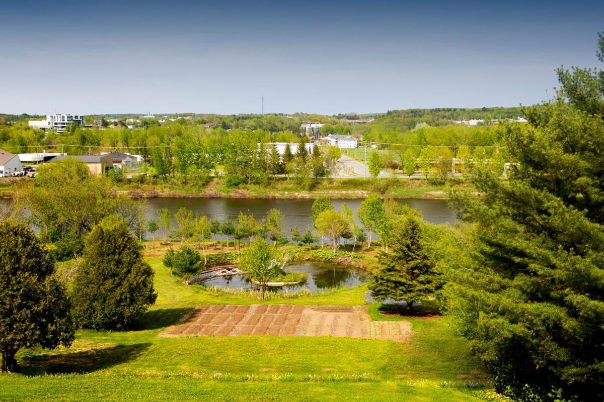 Hebergement "La Maison En Bois Rond" Sainte-Marie Værelse billede